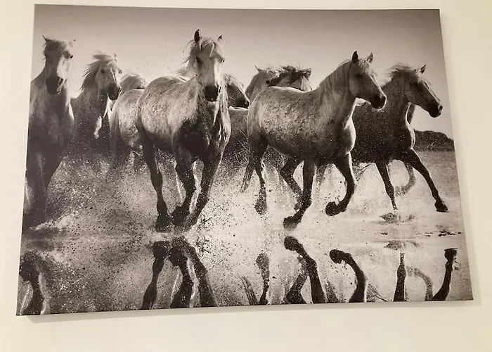 Whitehorse House * Donegal Town