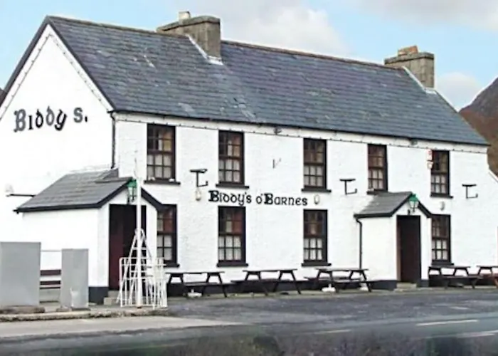 Dom wakacyjny Whitehorse House Donegal Town